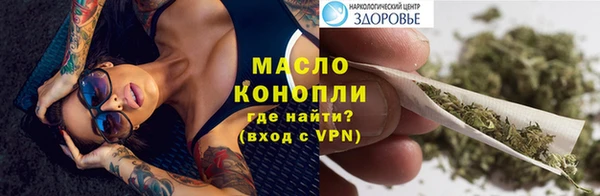 гашик Дмитровск