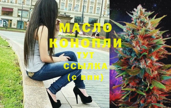 гашик Дмитровск