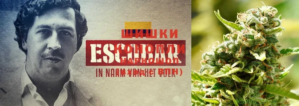 винт Дмитриев