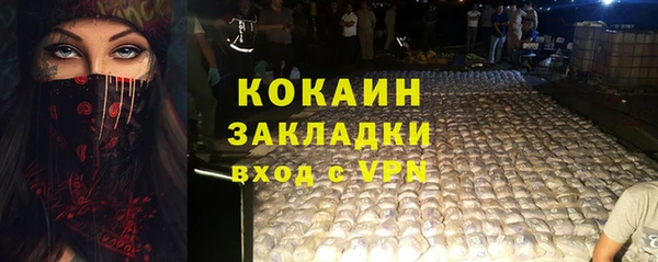 гашик Дмитровск