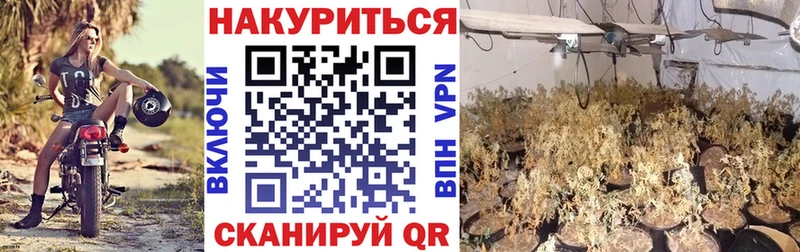 Марихуана THC 21%  Купить закладки  Катав-Ивановск 